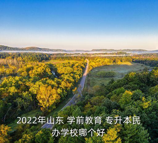 2022年山東 學(xué)前教育 專升本民辦學(xué)校哪個(gè)好