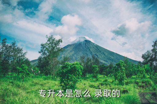 專升本單獨考試錄取,專升本考試:與高考錄取學(xué)生享受同等待遇