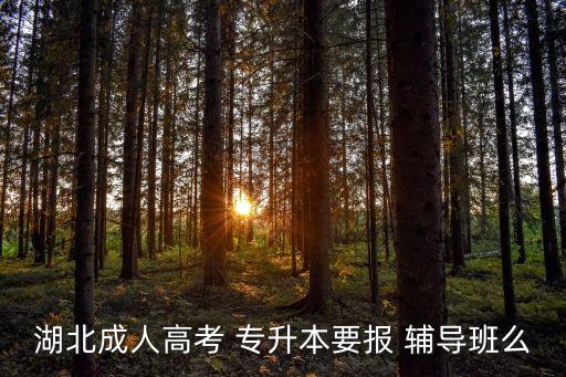 湖北成人高考 專升本要報(bào) 輔導(dǎo)班么