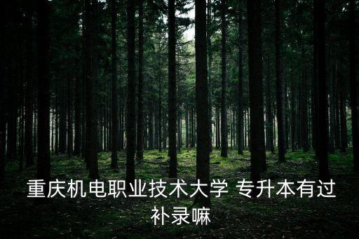  重慶機(jī)電職業(yè)技術(shù)大學(xué) 專升本有過 補(bǔ)錄嘛