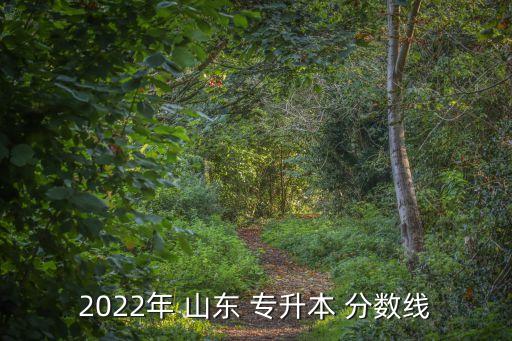 2022年 山東 專升本 分?jǐn)?shù)線