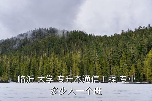  臨沂 大學(xué) 專升本通信工程 專業(yè)多少人一個班