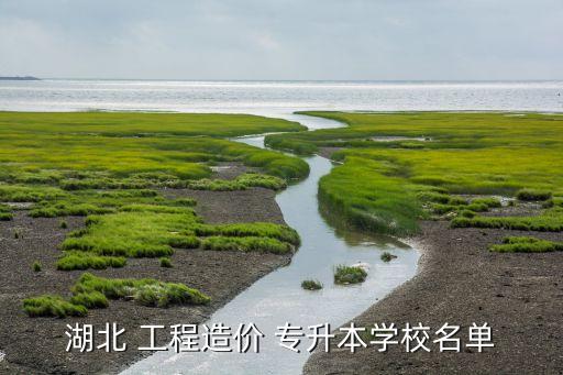 工程經(jīng)濟專升本,湖北工程造價?？茖W院名單出爐