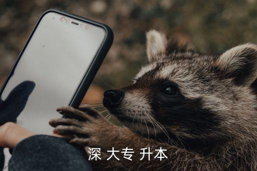 深大專升本分數(shù)線,深圳大學特別升本需要注意什么?