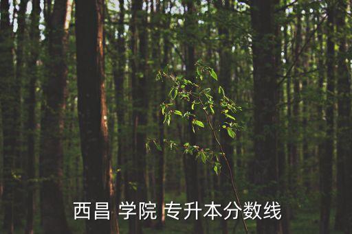  西昌 學(xué)院 專升本分?jǐn)?shù)線