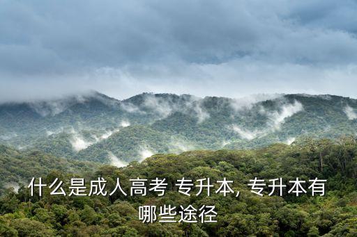 成教?？茖Ｉ?成人高考專升本考試是什么?