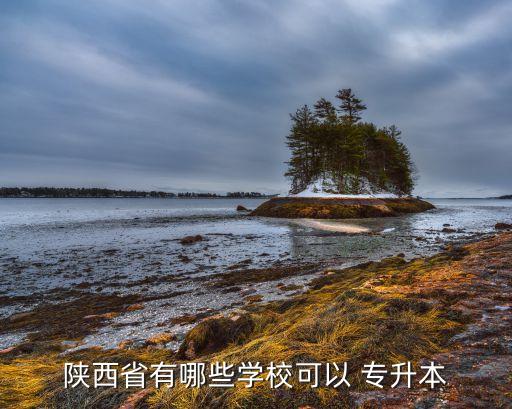 西安市專升本考試,西安專升本補習學校為你科普普及知識