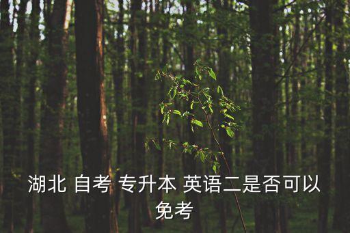 湖北 自考 專(zhuān)升本 英語(yǔ)二是否可以免考