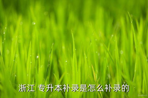 浙江 專(zhuān)升本補(bǔ)錄是怎么補(bǔ)錄的