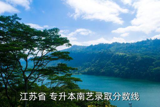 南京市統(tǒng)招專升本,南京藝術(shù)學院在江蘇省招生300人專升本上