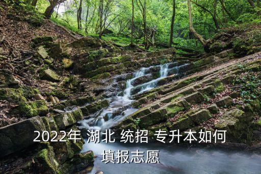 2022年 湖北 統(tǒng)招 專升本如何填報(bào)志愿