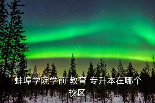 蚌埠網(wǎng)絡(luò)教育專升本,教育?？茖I(yè)目錄