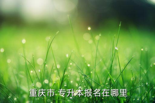  重慶市 專(zhuān)升本報(bào)名在哪里