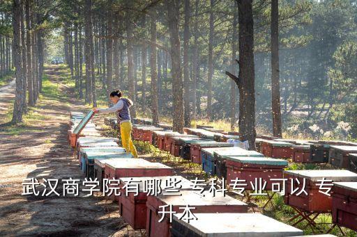 武漢商學(xué)院有哪些 專科專業(yè)可以 專升本