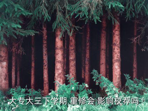 大專大三下學(xué)期 重修會(huì) 影響校薦嗎