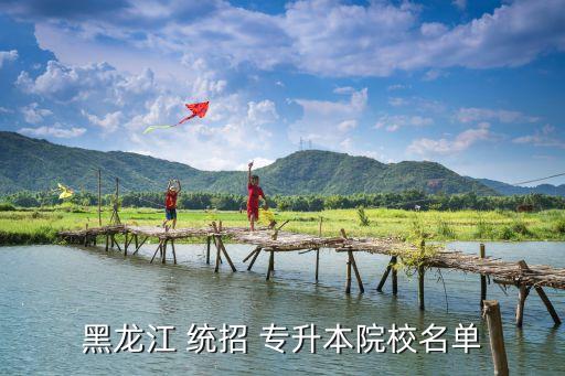 哈爾濱統(tǒng)招專升本2017,哈爾濱-1專升本院校名單出爐
