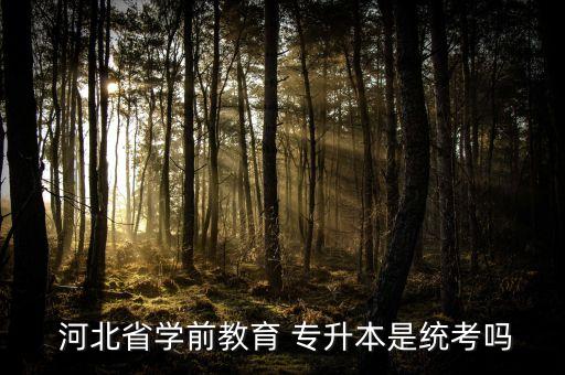  河北省學前教育 專升本是統(tǒng)考嗎