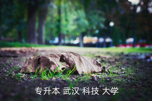 武漢科技大學(xué)專升本試題,報(bào)考不同專業(yè)的人考試試題不同