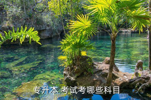 浙江專升本考試政治,成人高考專升本考試科目:公共課、專業(yè)課