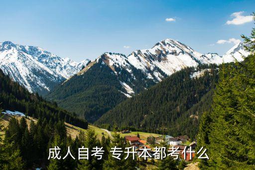成人專升本課程,成人高考專升本考試專業(yè)課包括哲學(xué)、文史等