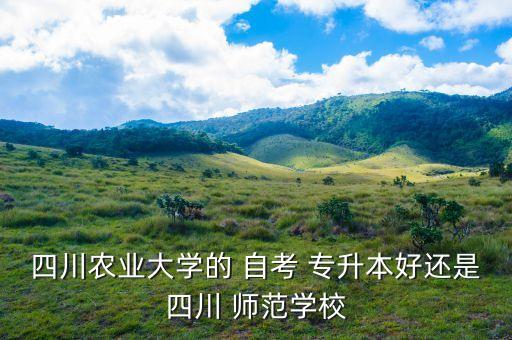 自考專升本師范,專升本可報考哪些大學(xué)?
