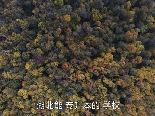 湖北專升本招生學校,湖北高等學府直升本可報考以下大學