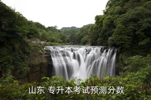  山東 專升本考試預測分數(shù)