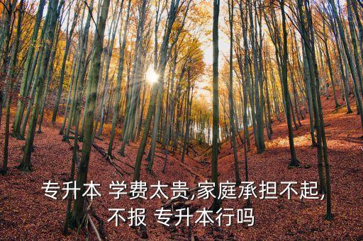  專升本 學(xué)費太貴,家庭承擔(dān)不起,不報 專升本行嗎