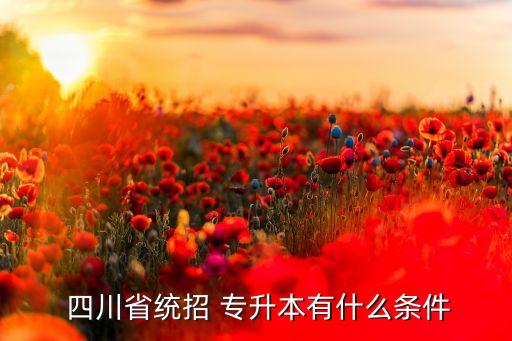  四川省統(tǒng)招 專升本有什么條件