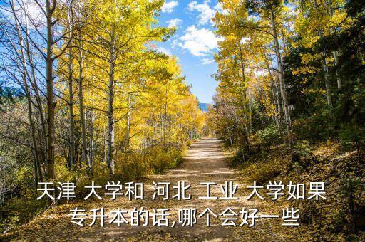 天津 大學和 河北 工業(yè) 大學如果 專升本的話,哪個會好一些