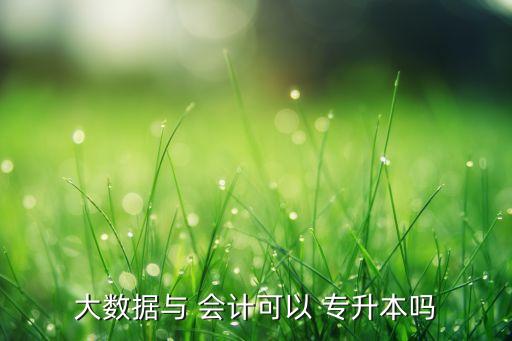 大數(shù)據(jù)與 會(huì)計(jì)可以 專升本嗎