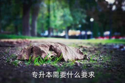 重慶專升本考綱,普通專升本是怎么回事?