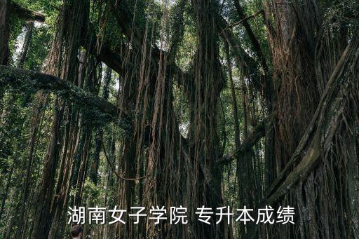 湖南 專升本文件,湖南女子學院2022年專升本考試成績公布