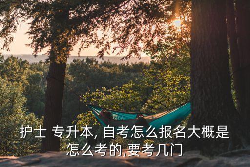 護士 專升本, 自考怎么報名大概是怎么考的,要考幾門