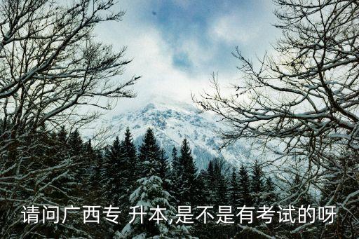 廣藝專(zhuān)升本需要考什么時(shí)候,高考升本有哪些重點(diǎn)?