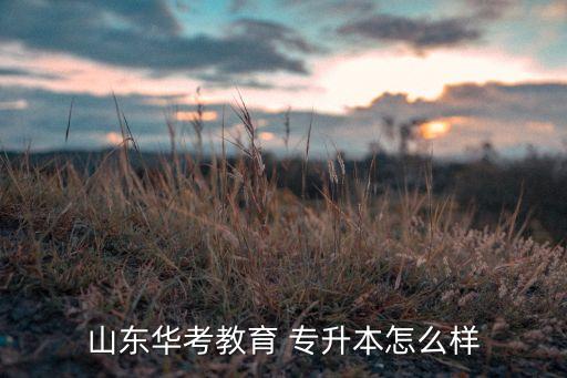 山東華考教育 專(zhuān)升本怎么樣