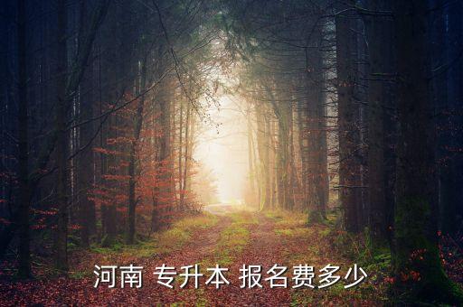 文贏專升本報名費(fèi),退役大學(xué)生士兵不需參加專升本考試直接錄取