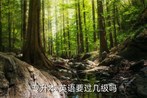  專升本 英語要過幾級嗎