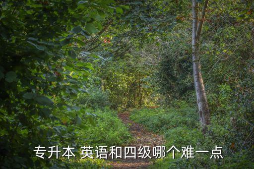 專升本英語(yǔ)需要詞匯量,專升本詞匯建議買那本書方便記單詞