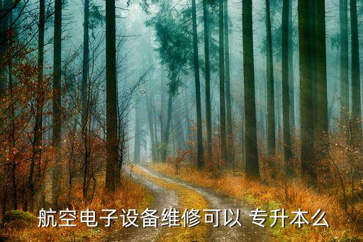  航空電子設(shè)備維修可以 專(zhuān)升本么