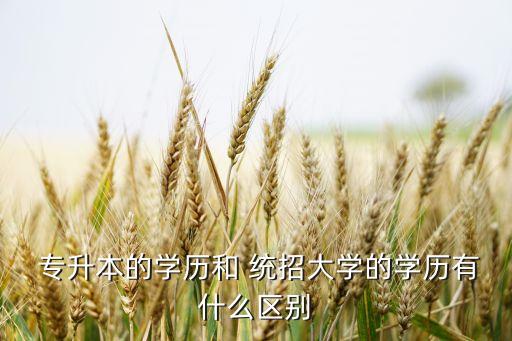 統(tǒng)招專升本學(xué)信網(wǎng)圖片,統(tǒng)招專升不允許跨省報(bào)考!