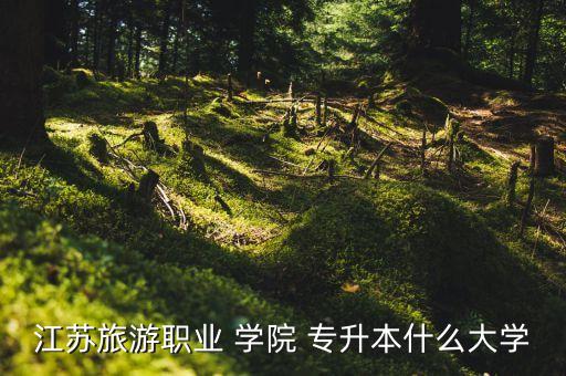 揚子學(xué)院專升本,江蘇旅游職業(yè)學(xué)院是一所全日制普通高校