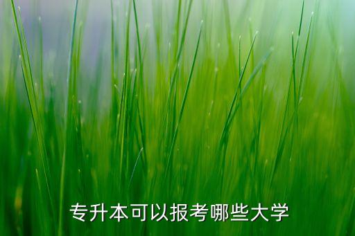  專(zhuān)升本可以報(bào)考哪些大學(xué)
