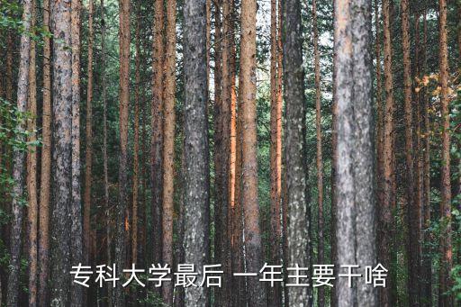 ?？拼髮W(xué)最后 一年主要干啥