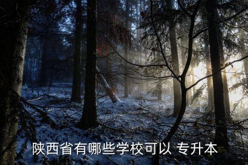  陜西省有哪些學(xué)?？梢?專(zhuān)升本