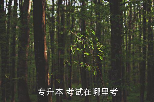  專升本 考試在哪里考