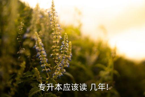  專升本應該讀 幾年!