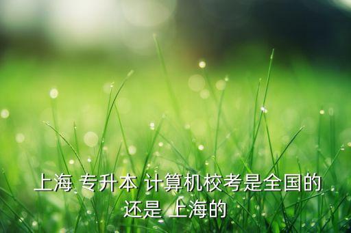 上海專升本計算機證書,計算機i級考試通過者可報名參加專升本