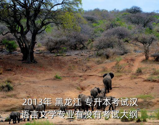 2013黑龍江專升本,自考專升本六大優(yōu)勢(shì):