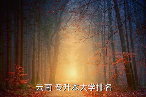  云南 專升本大學排名